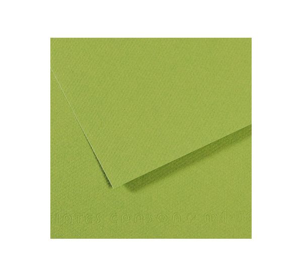 Бумага для пастели 160 г/м², 75х110 см, 25 листов, №475 зеленое яблоко, Canson Mi-Teintes C200321157