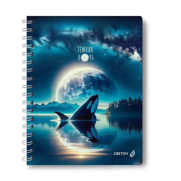 Тетрадь ученическая общая, A5 96 л. на гребне 65 г/м², белизна 100 %, 4 шт, клетка, 01200 Магия заката, Светоч Т115