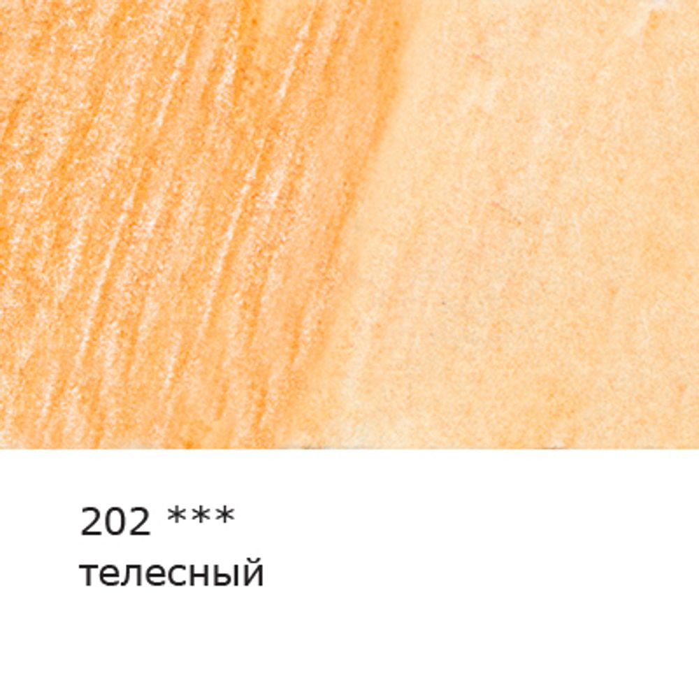 Карандаш акварельный художественный заточенный, 6 шт, 202 Телесный (Flesh), Vista-Artista Gallery VGWP