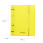 Папка-обложка для сменного тетрадного блока на 4 кольцах A5+ 700 мкм 20 мм, 1 шт, ⌀- 20 мм, желтый EC21140009, Expert Complete EC21140009