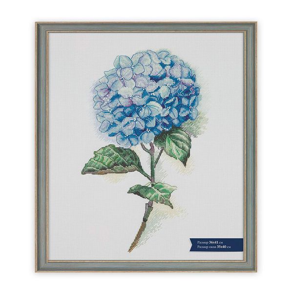 Рамка для картины (фото) пластик с оргстеклом 36х41 см, Тулуза, Gamma БМГ-02/1