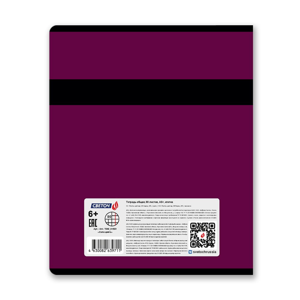 Тетрадь ученическая общая, A5 80 л. на скобе 65 г/м², белизна 100% 5 шт клетка, 01523 Сила цвета, Светоч Т202
