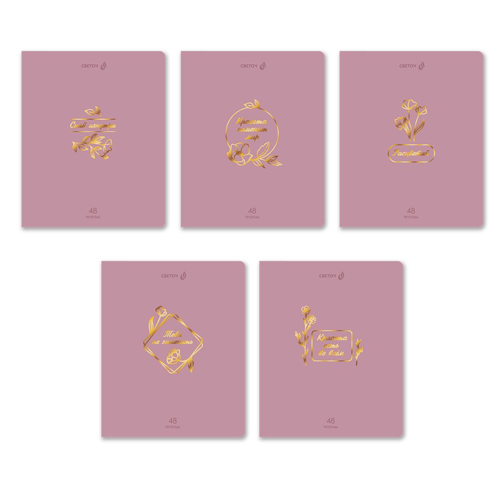 Тетрадь ученическая общая, тиснение золотой фольгой, A5 48 л. на скобе 65 г/м², белизна 100% 10 шт клетка, 01513 Мир красоты, Светоч Т199