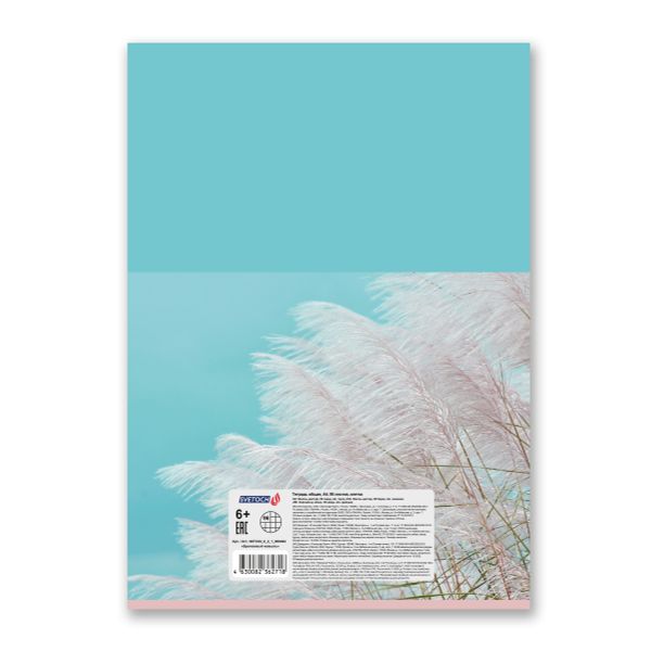 Тетрадь ученическая общая, A4 96 л. на скобе 65 г/м², белизна 100%, 6 шт, клетка, 000464 Бронзовый ковыль, Светоч 96ТСК4_0_2_1