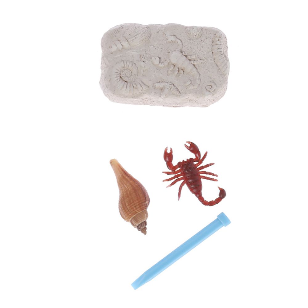 Поделкин Набор для творчества Раскопки, №11 Богатство океана, Поделкин
