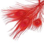 Перо павлина декоративное 25-30см, 10 штук (красный), AR204-2