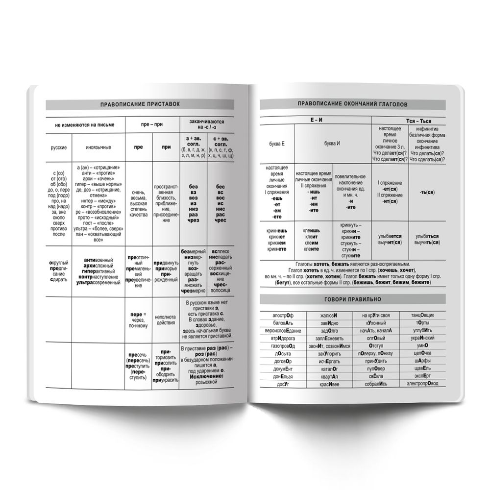 Тетрадь предметная Удачная A5+ 48 л. на скобе, 10 шт, линия, Русский язык 48ТСК5 000166, Светоч