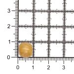 Бусины дерево ⌀10 мм, 50 г, Astra&Craft, нат/дерево