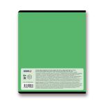 Тетрадь предметная Время действовать A5+ 48 л. на скобе, 10 шт, клетка, Физика 48ТСК5 000143, Светоч