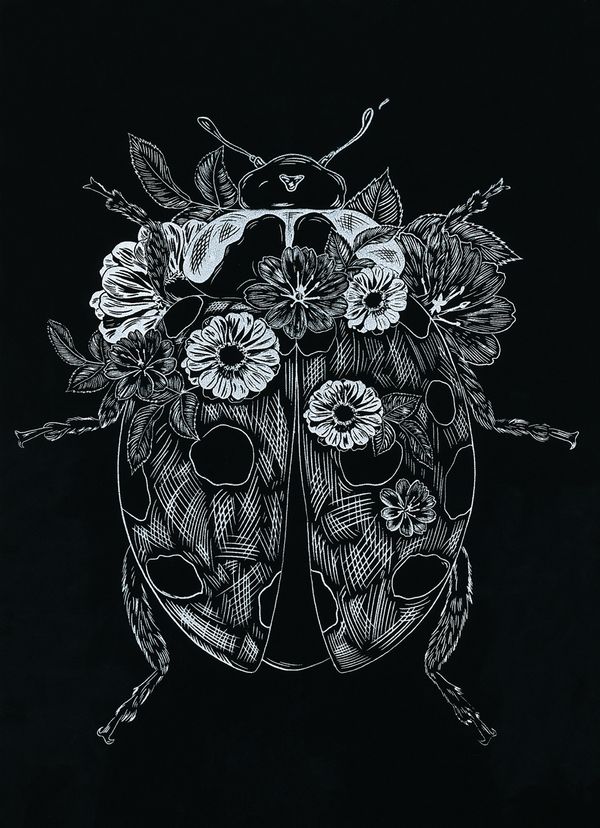 Набор для творчества Гравюра-блокнот Африканские зарисовки, 14х20 см, Hobbius GHPB-05