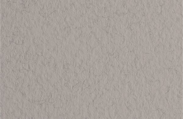 Бумага для пастели 160 г/м², 50х65 см, 10 листов, China/Серый теплый, Fabriano