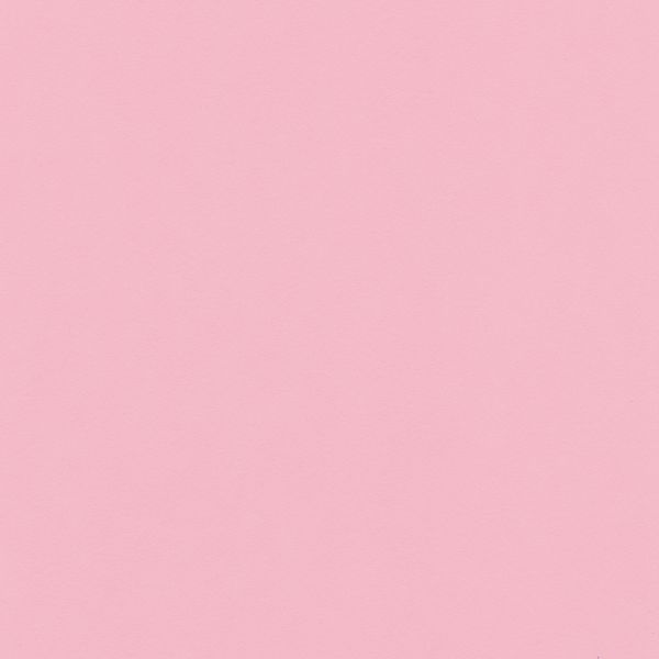 Бумага цветная 120 г/м², A4 21х29.7 см, 50 шт, 13 светло-розовый/light pink, Vista-Artista