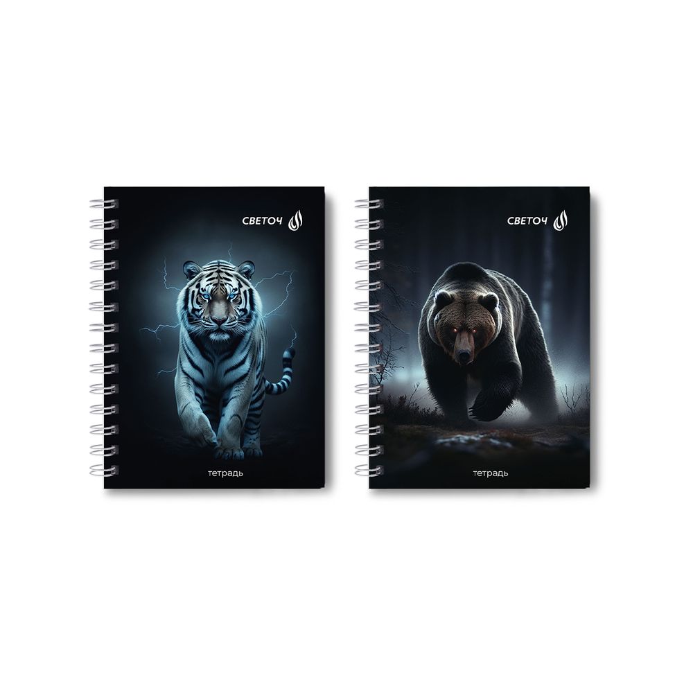 Записная книжка с твердым переплетом, матовая ламинация, на гребне A6 80 л. 4 шт клетка, Сила и смелость 01581, ЗК223 Светоч