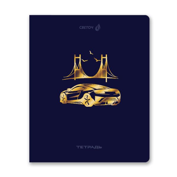 Тетрадь ученическая общая, тиснение золотой фольгой, A5 48 л. на скобе 65 г/м², белизна 100% 10 шт клетка, 01515 Со скоростью света, Светоч Т199