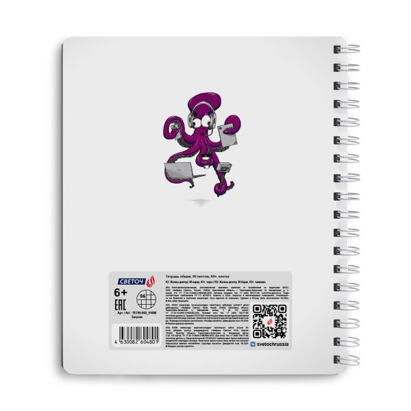 Тетрадь общая с запечатан. пластиковой обложкой, 500 мкр, A5+ 96 л. на гребне 65 г/м², белизна 100 %, 4 шт, клетка, 01088 Загугли, Светоч ТЕТ96-002