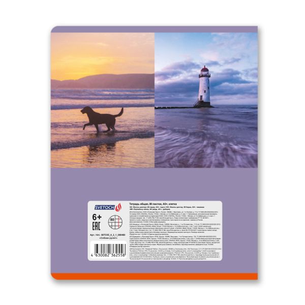 Тетрадь ученическая общая, A5+ 80 л. на скобе 65 г/м², белизна 100%, 5 шт, клетка в термоусадочной пленке, 000488 Собаки рулят, Светоч 80ТСК5_0_2_1