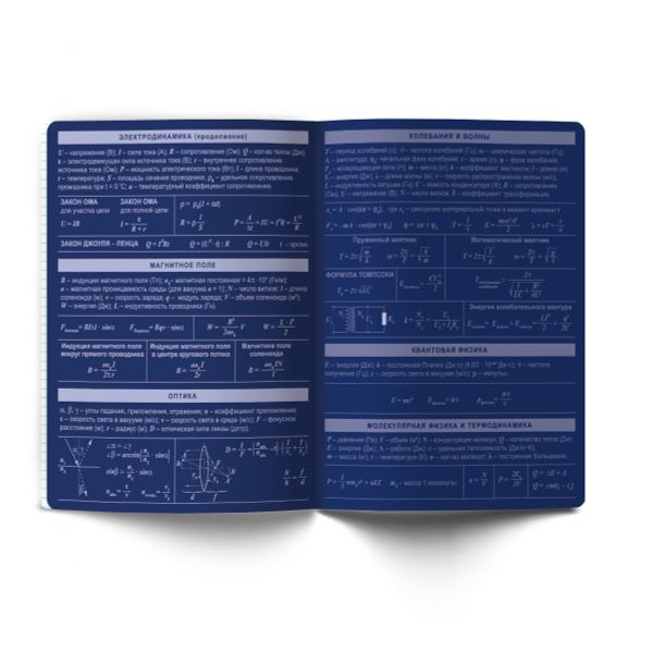 Тетрадь со справочным материалом Золотые главы, тисн.золот.фольгой, A5 48 л. на скобе 65 г/м², белизна 100% 10 шт клетка, 01853 Золотые главы Физика, Светоч Т286