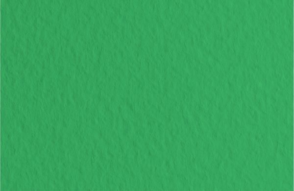 Бумага для пастели 160 г/м², 50х65 см, 10 листов, Prato/Травяной, Fabriano