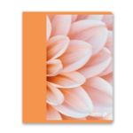 Тетрадь ученическая общая, матовая ламинация, A5+ 96 л. на скобе 65 г/м², белизна 100 %, 5 шт, клетка, 01005 Абрикосовый краш, Светоч 96Т16