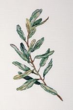 Набор для вышивания нитками Panna, Веточка оливы, 30х21 см