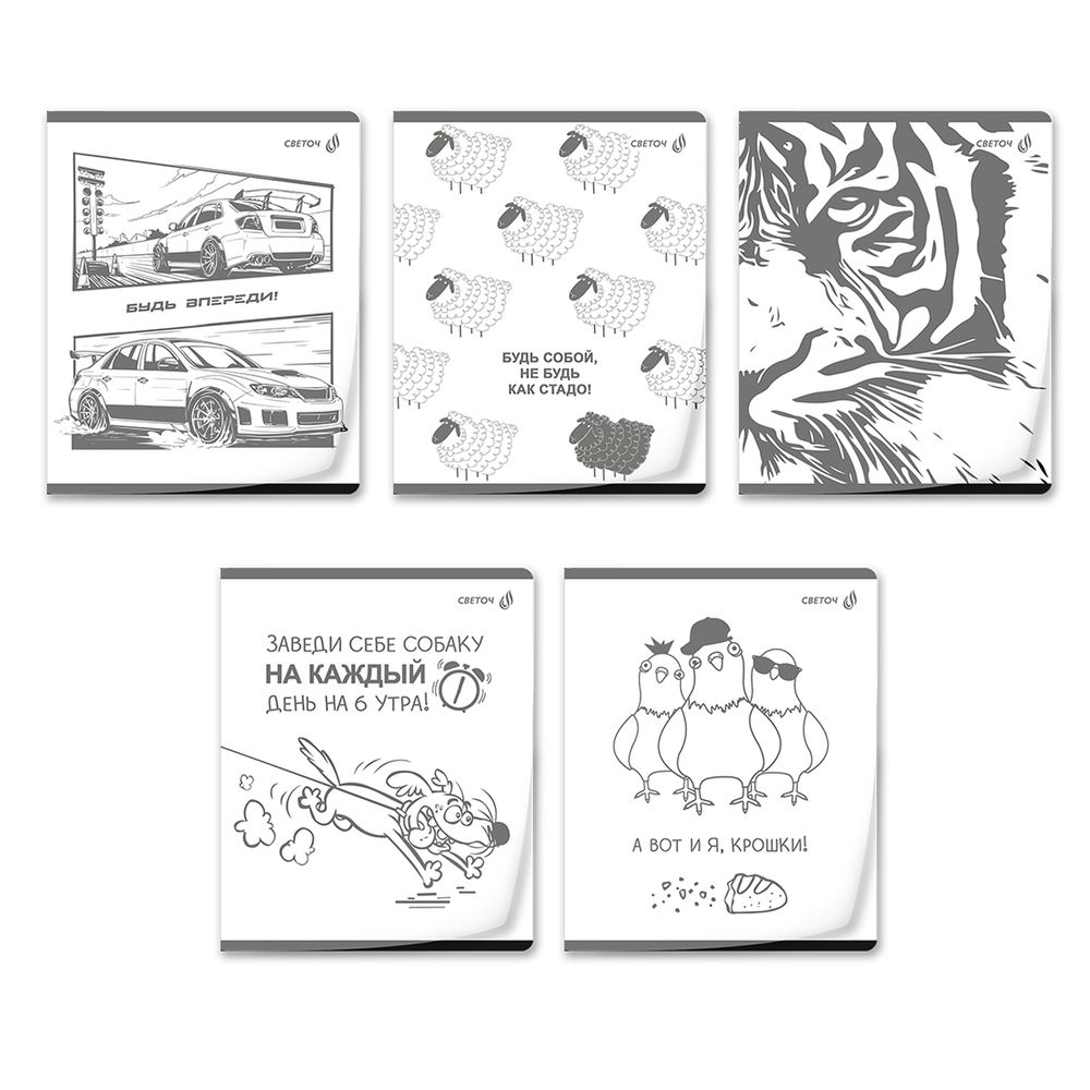 Тетрадь общая с пластиковойобложкой 180 мкр, ч/б запечат. титульн.лист, A5 60 л. на скобе 65 г/м², белизна 100 %, 10 шт, клетка, 01107 Микс - У нас на районе, Светоч Т64