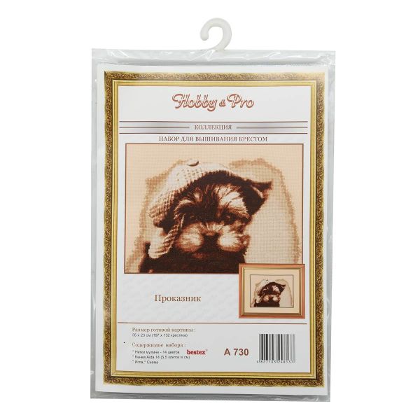 Набор для вышивания нитками Hobby&Pro, Проказник, 35х23 см