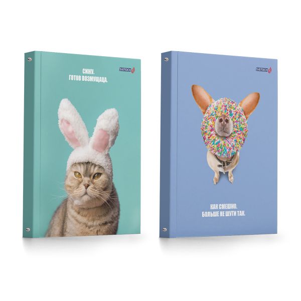 Тетрадь общая со сменным блоком, матовая ламинация A5 120 л. на 4 кольцах 65 г/м², белизна 100% 12 шт, клетка, 000658 Кот и пёс, Светоч ТЕТ120-002