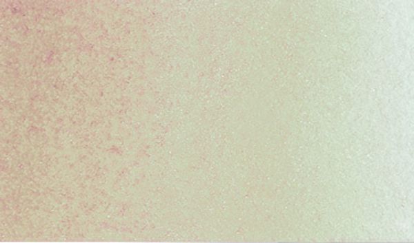 Краска акварель художественная, кювета 2.5 мл, 724 слоновая кость, Vista-Artista VAW