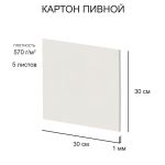 Картон пивной в наборе 1 мм, 570 г/м², 30х30 см, 5 л, белый, Love2art KLP-24
