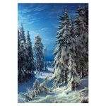 Пазл. Премиальная коллекция 2000 элементов, TOP-PZL-2000/03 Зимняя ночь, Фрея