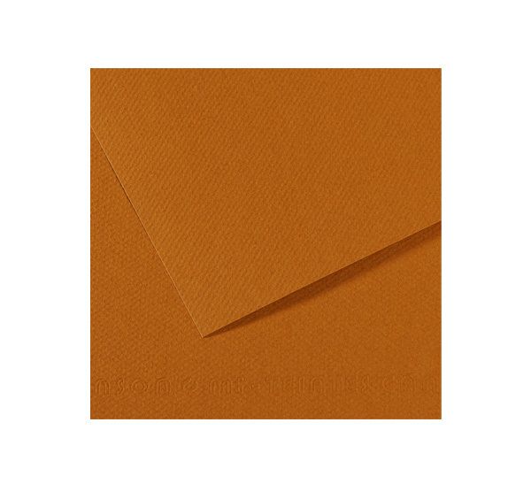 Бумага для пастели 160 г/м², 75х110 см, 25 листов, №502 светло-коричневый, Canson Mi-Teintes C200321187