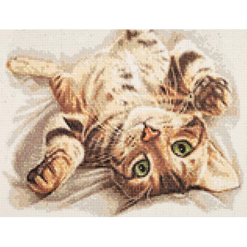 Cristyle, Бенгальский котенок, 40х30 см