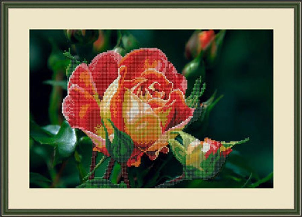 Galla Collection, Чайная роза 37х24 см