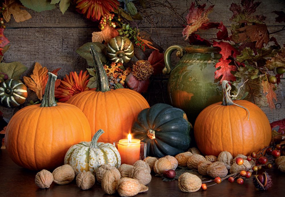 Пазл 500 элементов, Натюрморт с тыквами, PZL-500/19, Фрея